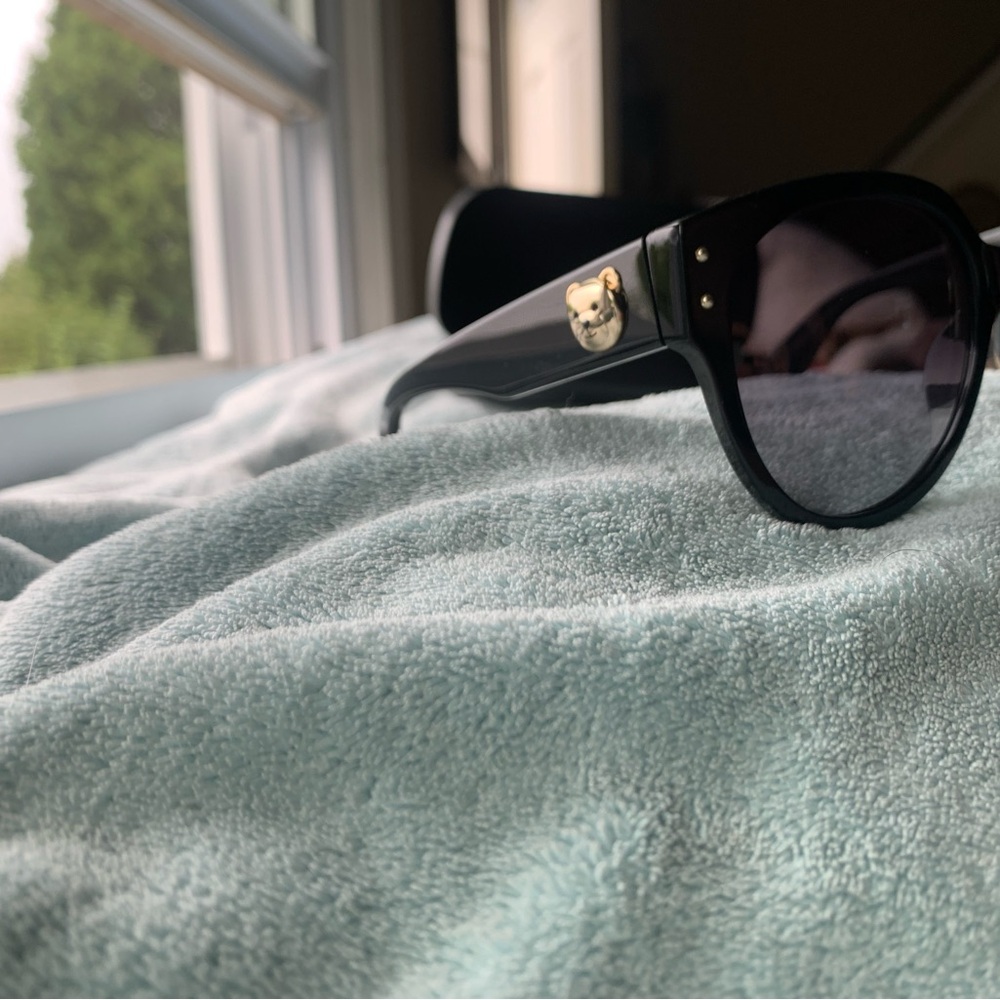 Moschino Black Sunglasses with Gold Bear Accent